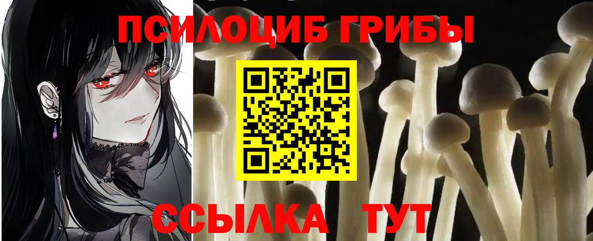 Кыштым  Псилоцибиновые грибы мухоморы  Вход с VPN 