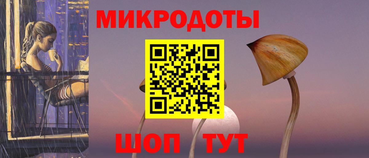 Псилоцибиновые грибы Psilocybine cubensis Кыштым